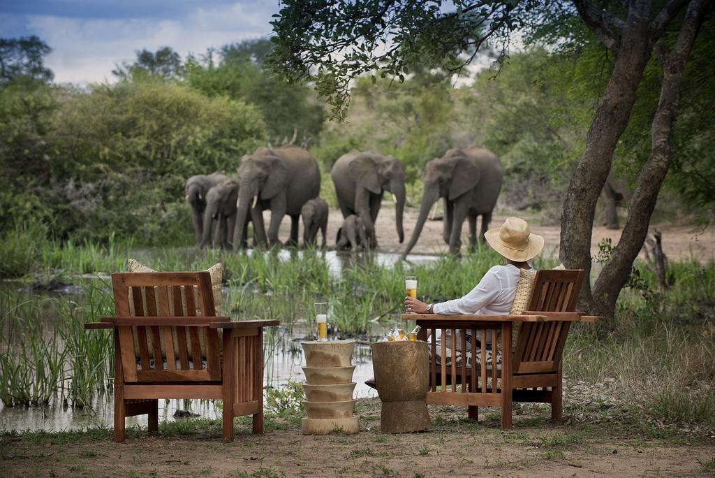 הוילה שמורת הציד טימבאבאטי Tanda Tula Safari Camp מראה חיצוני תמונה
